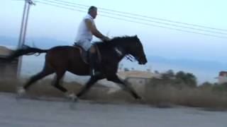 Download Lagu instabul mperlemis giorgos MP3