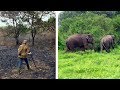 This Couple Spent 26 Years Nursing A Rainforest Back To Life.