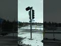 “Snowy Days in Finland ❄️ Aurora Borealis &amp; Winter Magic | #FinlandVibes #YouTubeShorts”