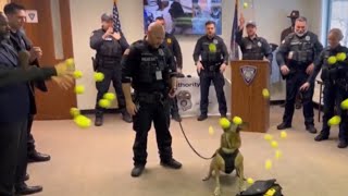 K-9 police dog sent into retirement with a tennis ball surprise..