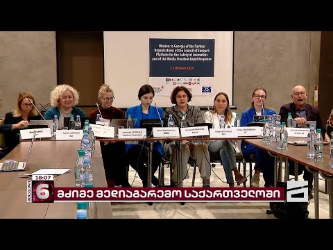 უმძიმესი მედიაგარემო საქართველოში | საერთაშორისო ორგანიზაციები კრიტიკულ დასკვნას აქვეყნებენ