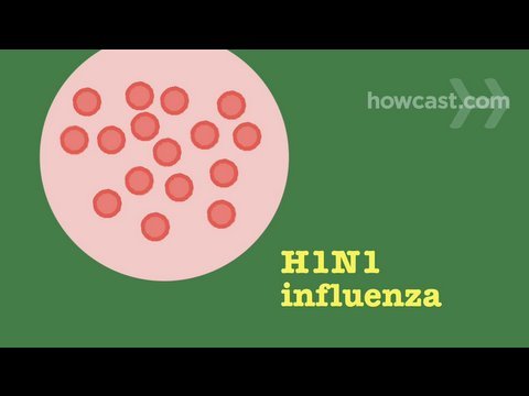 Swine Flu - Causes, Signs, Symptoms & Prevention