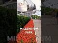 Millennium Park Chicago | Downtown Chicago Millennium Park