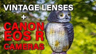 Use Vintage Lenses on a Canon EOS R Digital Camera screenshot 2