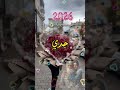 اللهم احفظ لي جدي وبارك في عمره فهو نبض قلبي اللهم أرح باله واجبر خاطره جدي الحبيب حفظك الله
