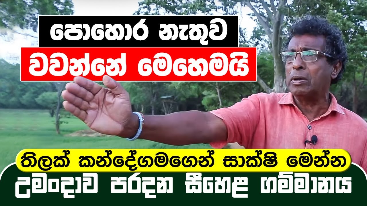 පොහොර නැතිව වවන්නේ මෙහෙමයි | සාක්ෂි මෙන්න | උමංදාව පරදන සීහෙළ ගම්මානය | Thilak Kandegama
