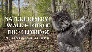 Nature Reserve Walk with Maine Coon Kitten (#01)