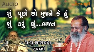 શું પૂછો છો મુજને કે હું શું કરું છું ભજન || Shu puchho chho mujne ke hu shu karu chuu bhajan