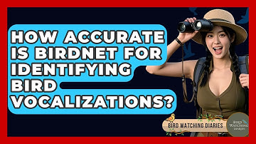 How Accurate Is BirdNET For Identifying Bird Vocalizations? - Bird Watching Diaries