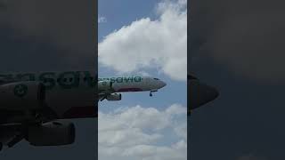 AVION B737 800 TRANSAVIA ORIGEN BUDAPEST