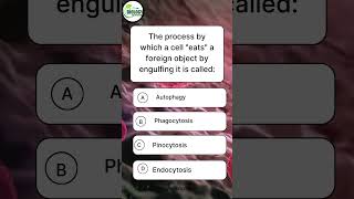"Biology Trivia: What Do We Call a Cell ‘Eating’ Process? 🧠"#biologywithravian #ytshorts#shortsfeed