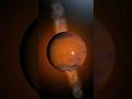 Mars can be habitable! But it has a CATCH! #space #spaceexploration