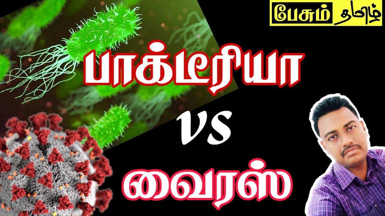  Difference Between Bacteria And Virus PAESUM TAMIL YouTube