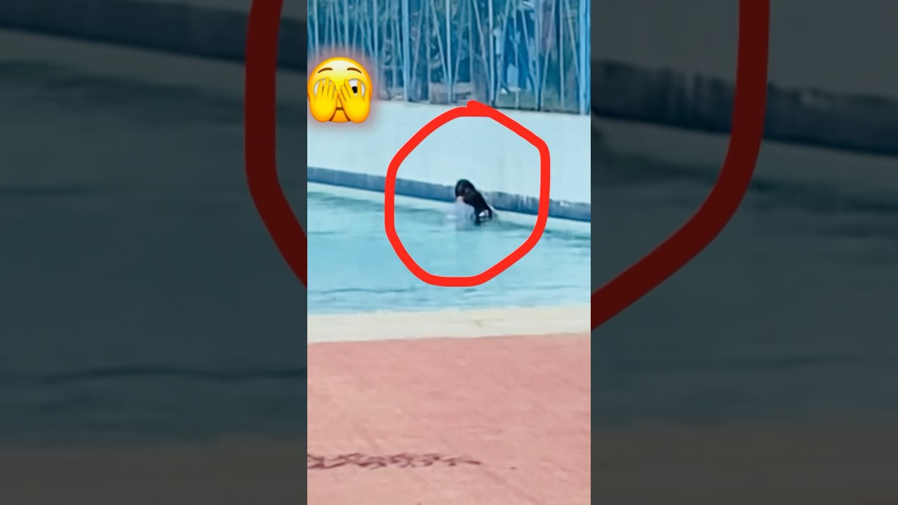 Funcity Water Park Bareilly 🫣