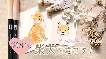 動物の描き方 柴犬のリアルなイラストが誰でも簡単に上手くなる方法ー中学校の美術で使える動物スケッチの書き方のコツ Mp3