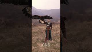 Chinese Lady Trains An Eagle As Her Hunting Partner In Nw China