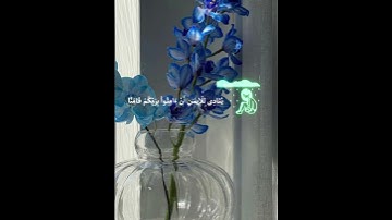 قرآن كريم بصوت جميل #quran #اكسبلور #المصحف #تلاوة #دويتو #الرحمن #قرآن