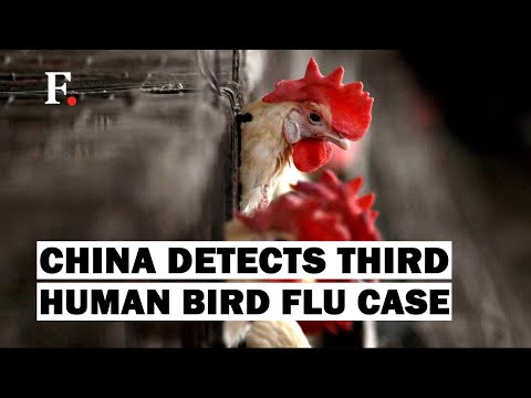 China Detects Third Human Case of H3N8 Bird Flu, 56-Year-Old Woman Tests Positive