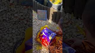 Easter egg hunt 2023 #liam #keane #fun #easter #egg #hunting #shorts #satisfying #video