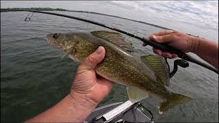 Most Walleye Fisherman Don't Use This Bait