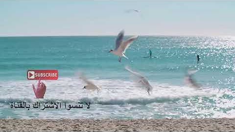 أبدأ يومك بأذكار  الصباح وسورة الرزق 👍