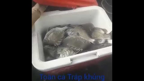 Câu cá Tráp ở giàn hào Cần Giờ toàn cá khủng