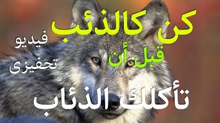 كن كالذئب وقد القطيع.. قبل أن تأكلك الذئاب.. فيديو تحفيزى / تحفيز motivation