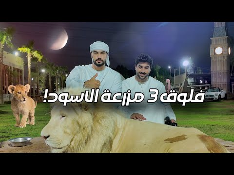 فلوق مزرعة الأسود