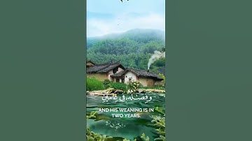 تلاوة قرانيه من سورة لقمان بصوت الشيخ عبد الباسط #motivation #cat#cat