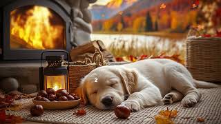 12 Hours Of Dog Calming Music 🎵 Relaxation Music for Dogs 🐶 Comforting Sounds 💖 Stress-Free Sleep