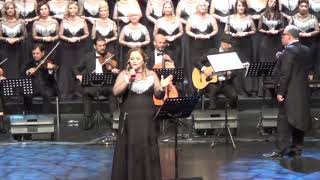 Ayşe Erdem - Bir Rüzgardır Gelir Geçer Sanmıştım.