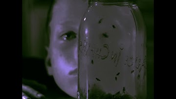 Nutshell…..but its even more hopeless….