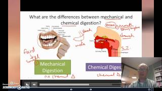 Download Lagu T2.1.3 MP3