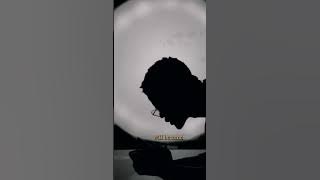 I CAN'T FAIL. There's PROPHESY on my HEAD o @Eric_Gugua #ericgugua#icantfail#motivation#prayer#fyp