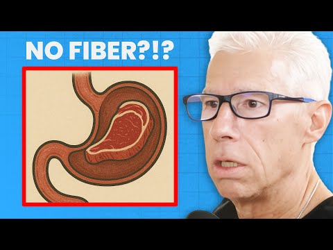 Thumbnail for What Happens to the Gut if You STOP Eating Plants? | Dr. Robert Kiltz