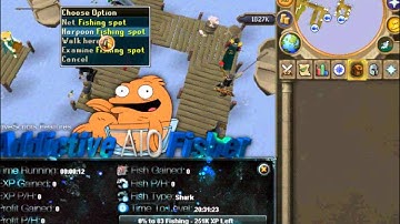 Newest RSBot 4016 ! Addictice AIO Fisher [Download Link in desc]