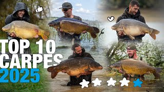 Les 10 plus belles captures de carpes de 2025 🎣