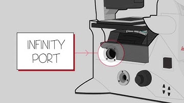 The Leica DMi8 Infinity Port