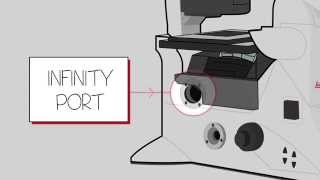 The Leica DMi8 Infinity Port