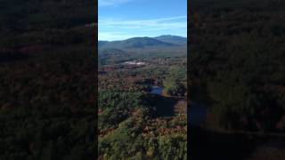 IMG 4373