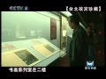 国宝档案  宝岛寻宝——台北故宫珍藏（二）