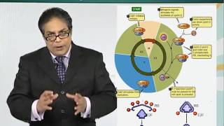 Topic 39 (BIO201 - Cell Biology)