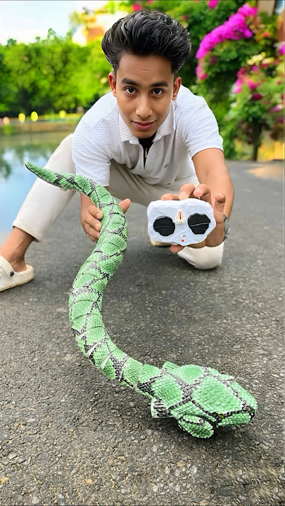Lo Bro New Remote Control Snake Unboxing🔥