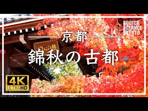 錦秋の古都 京都 2021 〜 秋の京都を彩る紅葉をお楽しみください。永観堂〜清水寺〜東福寺〜嵐山渡月橋〜宝厳院〜天龍寺〜北野天満宮〜高台寺〜南禅寺〜真如堂〜二条城〜円山公園〜糺の森と下鴨神社