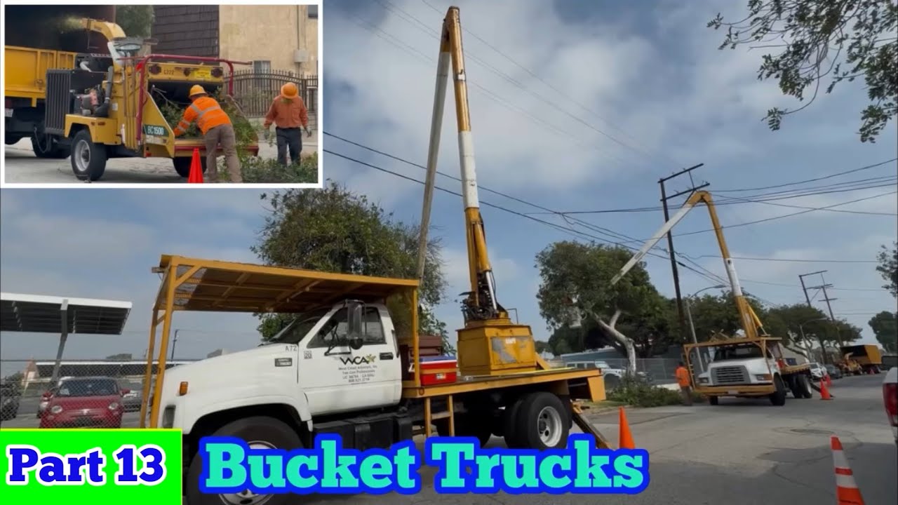 Two BUCKET TRUCKS in Action | Tree Trimming Crew (Tree Surgeon) At Work ...