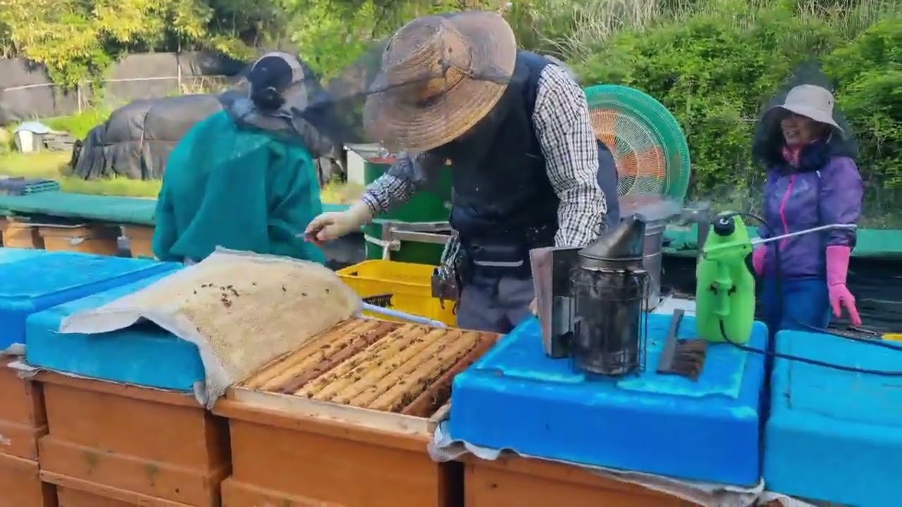 2025 05 08 효성산업 전동 손탈봉기   (010-3535-7578)