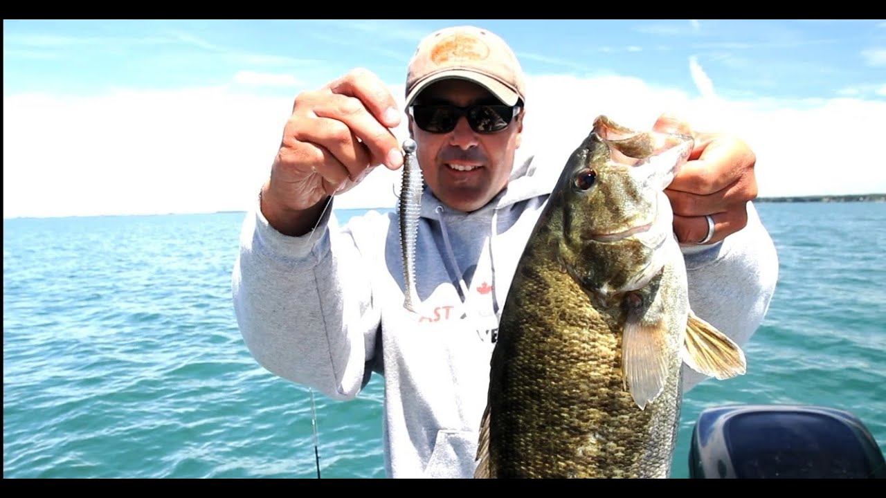 CG Deepwater swimbaits for post spawn smallmouth bass