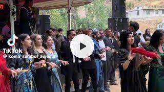 Rojam Tuyi Şırnak Halay Izle Muhteşem