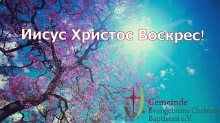 Иисус Христос воскрес! Воистину воскрес! Аллилуйя!