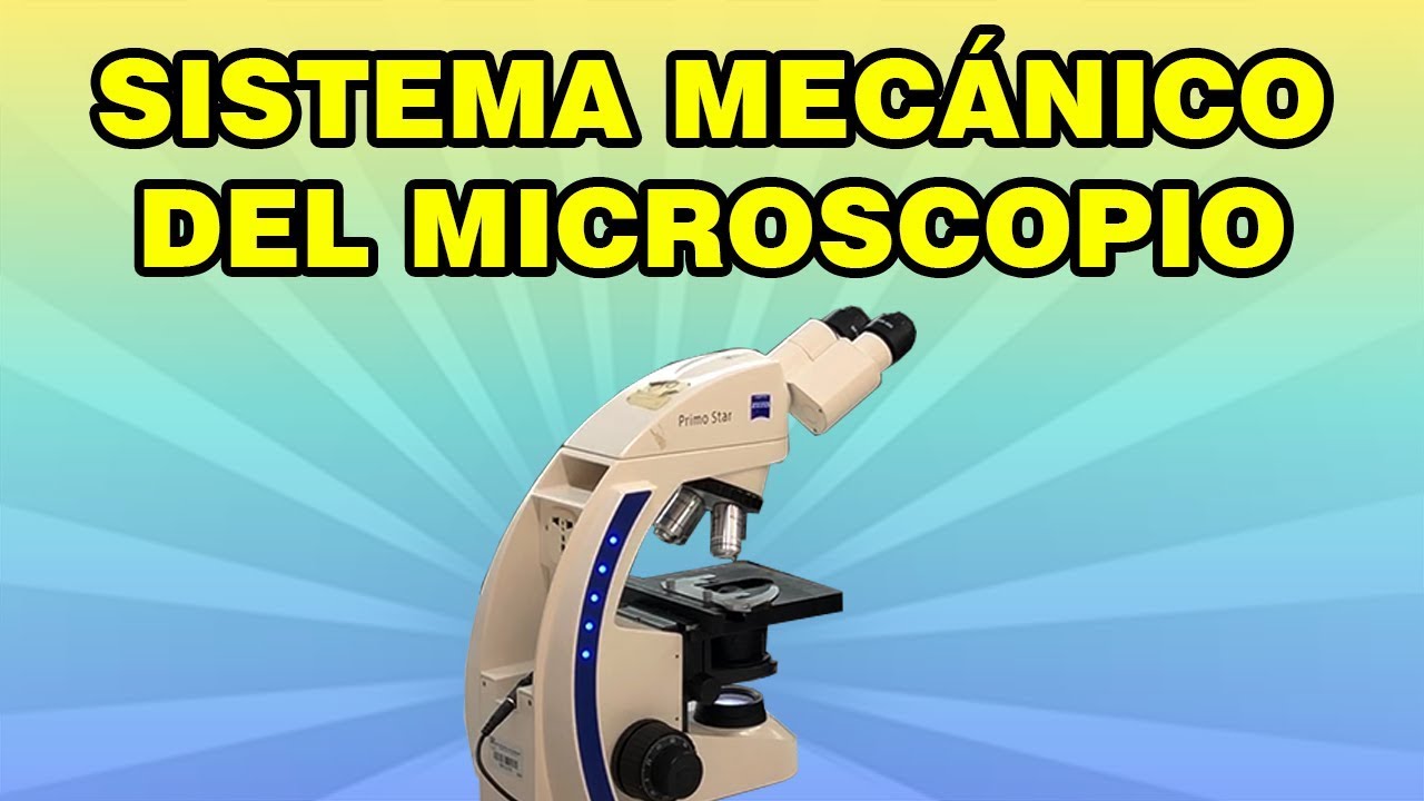 El Sistema Mecánico del Microscopio Compuesto YouTube